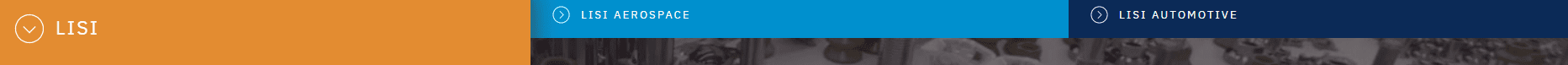 lisi group