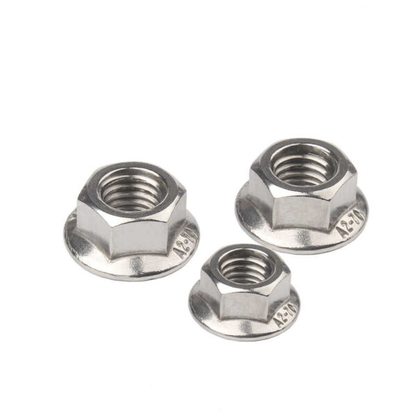 Stainless Steel Hex Flange Nuts Wash Nuts