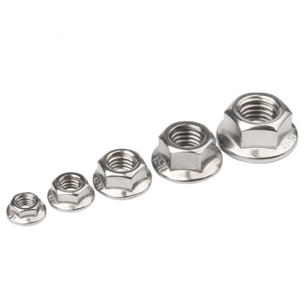 Stainless Steel Hex Flange Nuts Wash Nuts