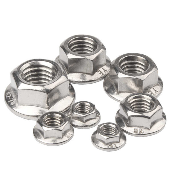 Stainless Steel Hex Flange Nuts Wash Nuts