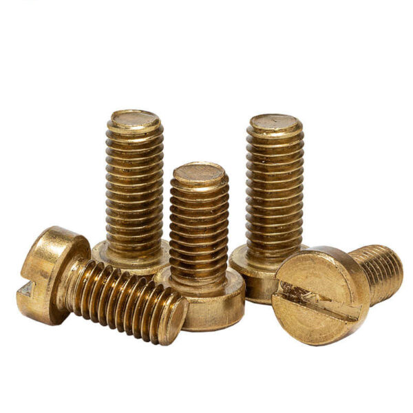 Brass Slotted Cylinder Head Screws 03