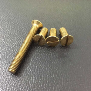 Brass Slotted Screws