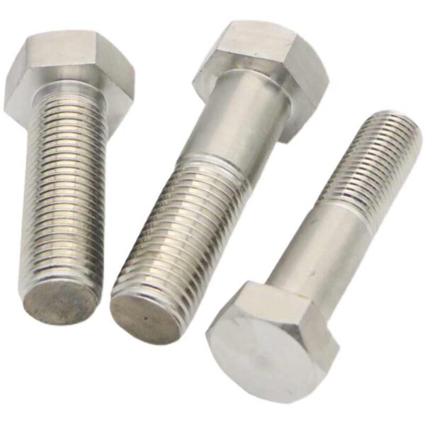 Stainless Steel Giant Bolts