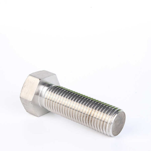 Stainless Steel Giant Bolts