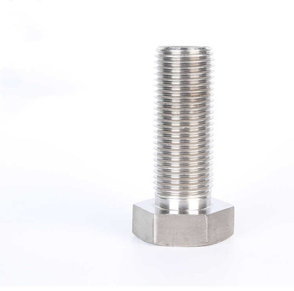 Stainless Steel Giant Bolts 03