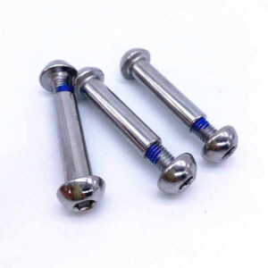 Stainless Steel Socket Button Sex Bolts