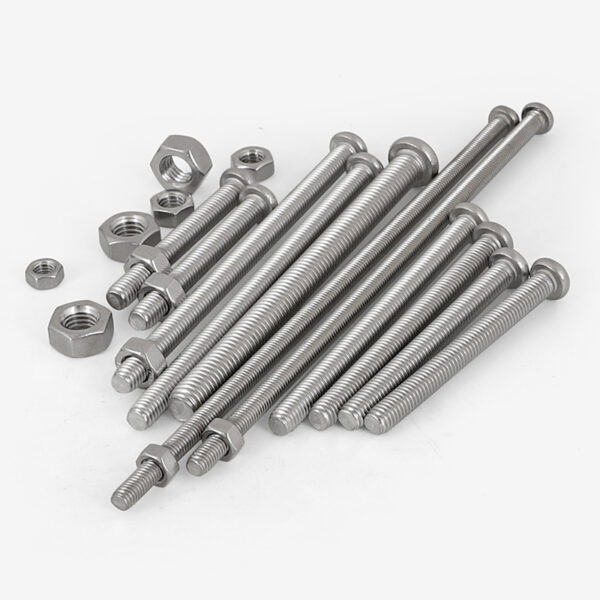 SS Round Head Cross Slotted Bolts