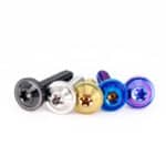 TC4 Titanium Self Tapping Motorcycle Screws - FastenMetal LTD