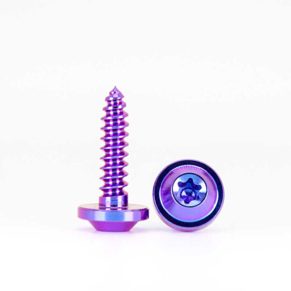 TC4 Titanium Self Tapping Motorcycle Screws - FastenMetal LTD